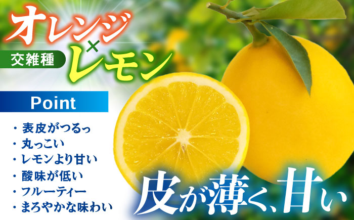 ※【2026年12月上旬より順次発送／先行予約】【ワックス不使用】国産 マイヤーレモン 5kg / レモン れもん 檸檬 フルーツ 果物 / 諫早市 / 山野果樹園 [AHCF004]