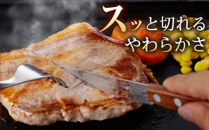 諫美豚 ロースステーキ 600g（100g×6枚） / 豚肉 ぶたにく ステーキ すてーき ロース ろーす テキカツ 焼肉 生姜焼き / 諫早市 / 株式会社土井農場 [AHAD087]