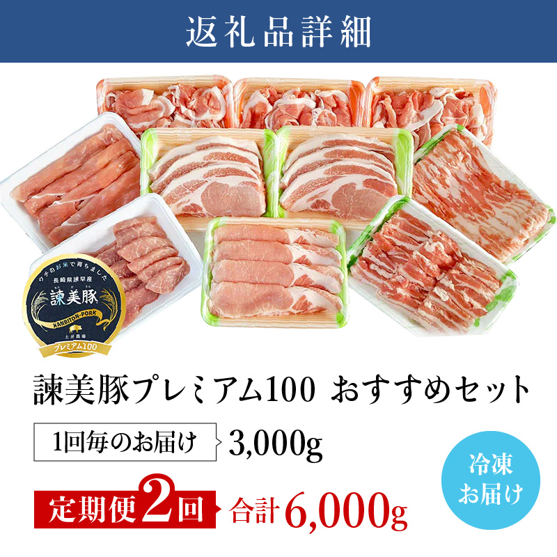 【2回定期便】諫早平野の米で育てた諫美豚プレミアム100お勧めセット3kg / 諫美豚 豚肉 肩ロース ステーキ モモ 切り落とし ハンバーグ ロースステーキ / 諫早市 / 株式会社土井農場 [AHAD023]