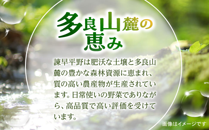 【3回定期便】諫早産野菜の詰め合わせ(8〜9品目程度) / 季節 旬 野菜 春野菜 夏野菜 秋野菜  / 諫早市 / 肥前グローカル株式会社 [AHDI001]