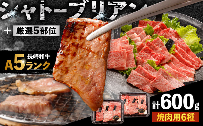 〈シャトーブリアン入り〉希少部位 焼肉 6種食べ比べセット 600g(各100g) / シャトー サーロイン カルビ モモ ロースザブトン ミスジ トモサンカク イチボ ランプ 長崎和牛 国産 牛肉 和牛 a5 焼肉 やきにく 焼き肉用 セット / 諫早市 / 野中精肉店[AHCW146]