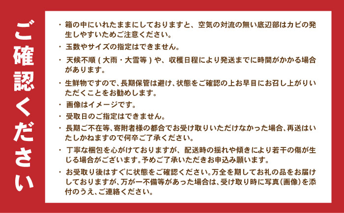 伊木力みかん 5kg / みかん ミカン 佐瀬みかん 伊木力みかん 濃い 温州みかん 薄皮 5kg / 諫早市 / 伊佐農園 [AHFI015]