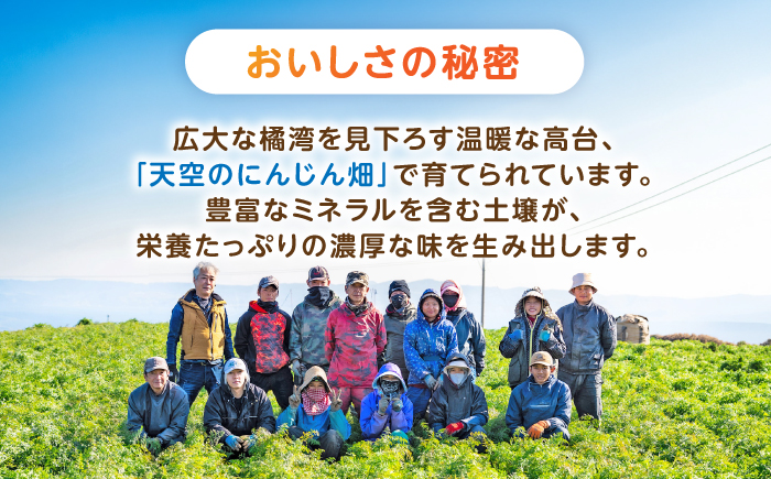 【甘みと栄養たっぷり！】真っ赤な人参「紅天神」 5kg / にんじん ニンジン 人参 carrot やさい 野菜 にんじんジュース 人参ジュース ニンジンジュース キャロット キャロットジュース / 諫早市 / 滝商店株式会社 [AHCU008]