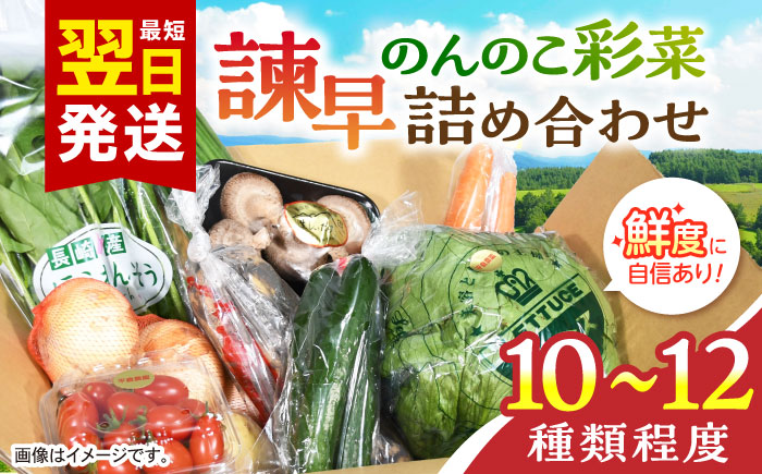 諫早のんのこ彩菜・詰め合わせセット / 季節 旬 野菜 春野菜 夏野菜 秋野菜  / 諫早市 / 肥前グローカル株式会社 [AHDI005]