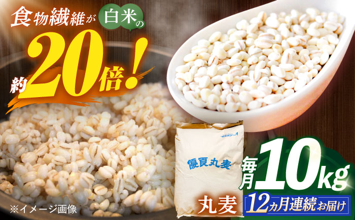 【全12回定期便】 長崎県産 丸麦 10kg / 麦 むぎ 雑穀 雑穀米 麦ごはん 麦飯 麦みそ 食物繊維 / 諫早市 / 有限会社伊東精麦 [AHBU008]