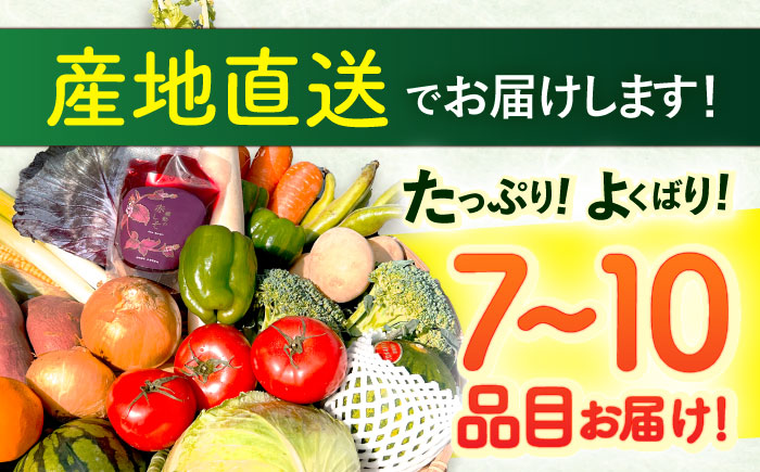 野菜等詰め合わせセット(7〜10品目) / 野菜 果物 フルーツ くだもの きのこ / 諫早市 / 松尾農園 [AHAY002]