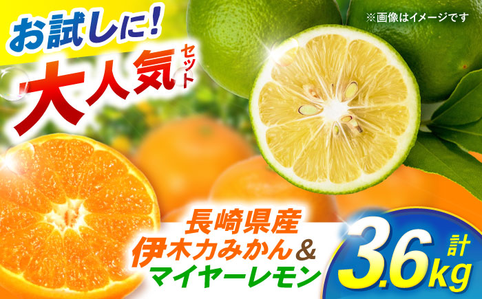 ※【2026年12月上旬より順次発送／先行予約】【大人気みかんとレモンのお試しセット】伊木力みかん(家庭用)1.8kg マイヤーレモン1.8kg 計3.6kg / みかん ミカン 蜜柑 mikan 柑橘 かんきつ レモン れもん 檸檬 果汁 果物 / 諫早市 / 山野果樹園 [AHCF016]