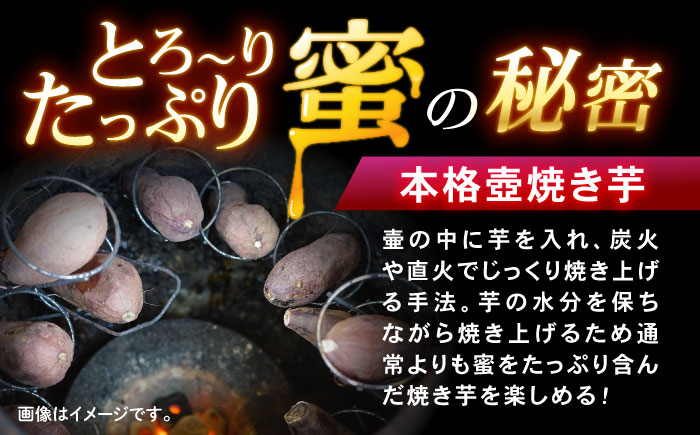 蜜だらけ！蜜しかない！ねっとり冷凍壺焼き芋 約3kg / 焼き芋 焼芋 やきいも さつまいも / 諫早市 / 松尾農園 [AHAY003]