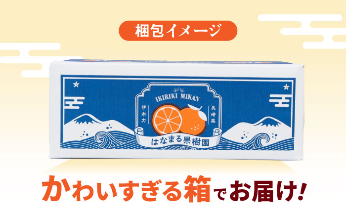 伊木力みかん (大玉)5kg / みかん ミカン 蜜柑 柑橘 フルーツ ふるーつ 果物 くだもの / 諫早市 / 山野果樹園 [AHCF007]