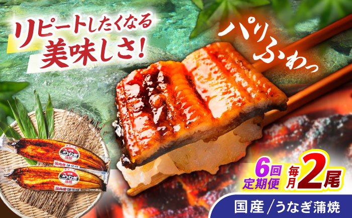 【6回定期便】【諫早淡水】うなぎ蒲焼2尾 / うなぎ ウナギ 鰻 国産うなぎ 国産鰻 蒲焼き 蒲焼 かばやき うな重 うな丼 / 諫早市 / 諫早淡水株式会社 [AHAT025]