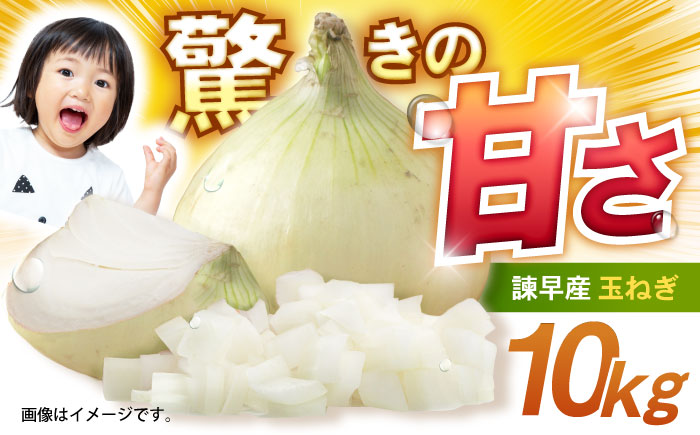 諫早産 新玉ねぎ 10kg / 新玉ねぎ 玉ねぎ 玉葱 たまねぎ タマネギ 野菜 やさい 10kg 甘い / 諫早市 / 松尾農園 [AHAY029]