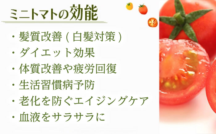 【訳あり】ミニトマト 3kg / 訳あり 訳アリ ミニトマト プチトマト トマト とまと 野菜 やさい / 諫早市 / 原農園 [AHCZ001]