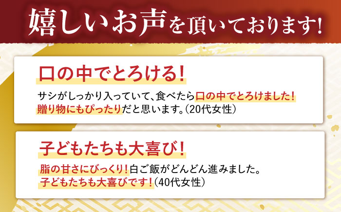 【コラボ実施中】長崎和牛 サーロインステーキ 800g (200g×4枚) / サーロイン さーろいん サーロインステーキ ブロック A5 希少部位 / 諫早市 / 野中精肉店 [AHCW030]