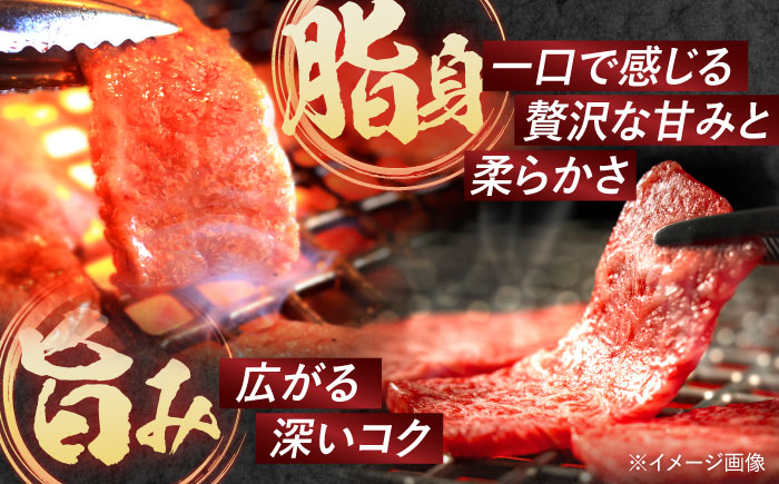 【6回定期便】長崎和牛 焼肉 4種 上バラ 上モモ 上ロース 上カルビ 計920g / 長崎和牛 焼肉 焼き肉 牛肉 和牛 牛 バラ モモ ロース カルビ / 諫早市 / 焼肉おがわ [AHCD054]