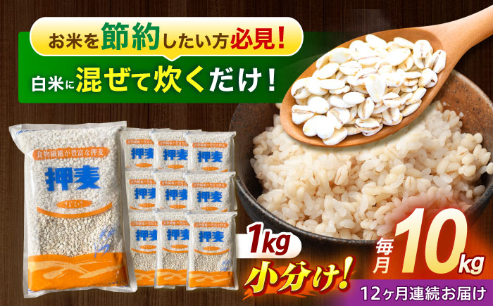 【12回定期便】押麦「長崎御島」1kg×10袋 計10kg / 麦 むぎ 押麦 はだか麦 麦味噌 雑穀 雑穀米 食物繊維 小分け 長崎県産 米 こめ コメ ※ / 諫早市 / 有限会社伊東精麦 [AHBU012]