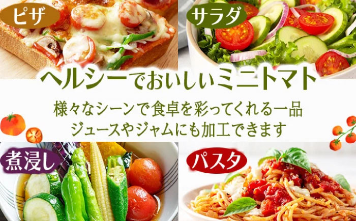 【訳あり】ミニトマト 3kg / 訳あり 訳アリ ミニトマト プチトマト トマト とまと 野菜 やさい / 諫早市 / 原農園 [AHCZ001]