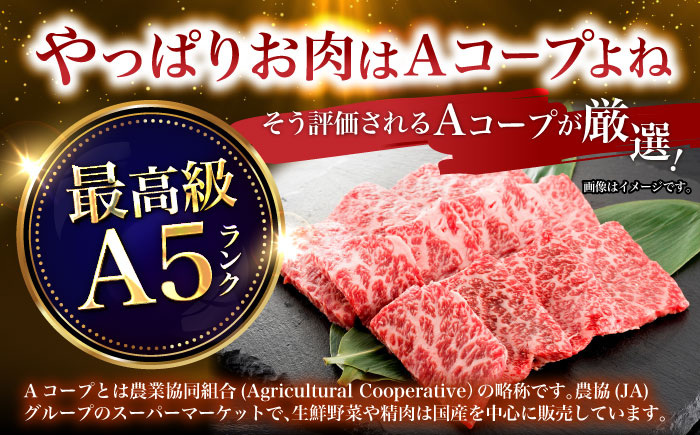 【３回定期便】長崎和牛ロース焼肉用(550g)　/　長崎和牛　ブランド牛　ロース　焼き肉　牛　牛肉　/　諫早市　/　長崎県央農業協同組合Aコープ本部 [AHAA024]