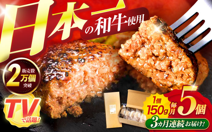 【3回定期便】ながさきふわとろハンバーグ　150g×5個入 / ハンバーグ はんばーぐ　肉 牛肉 豚肉 おかず 惣菜 定期便 / 諫早市 / ワールド・ミート有限会社 [AHBG006]