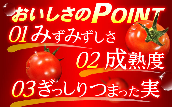 愛果菜ミニトマト9P×1セット / トマト とまと ミニトマト プチトマト 愛果菜 / 諫早市 / 愛菜ファーム株式会社 [AHAK001]