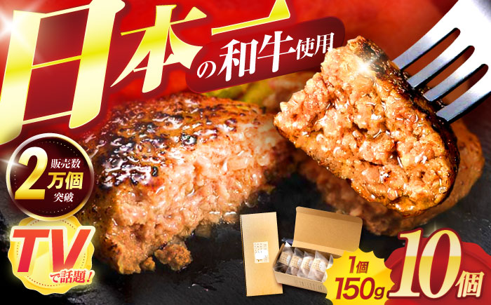 ながさきふわとろハンバーグ 150g×10個入 / ハンバーグ はんばーぐ 肉 牛肉 豚肉 おかず 惣菜 / 諌早市 / ワールド・ミート有限会社 [AHBG009]