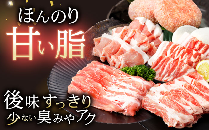 諫美豚しゃぶしゃぶ焼肉ハンバーグセット計2.7kg / 豚肉 ロース モモ 肩ロース バラ ハンバーグ 小分け / 諫早市 / 株式会社土井農場 [AHAD056]