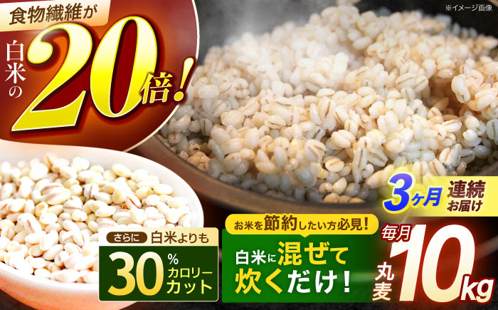 【全3回定期便】 長崎県産 丸麦 10kg / 麦 むぎ 雑穀 雑穀米 麦ごはん 麦飯 麦みそ 食物繊維 長崎県産 米 こめ コメ ※ / 諫早市 / 有限会社伊東精麦 [AHBU006]