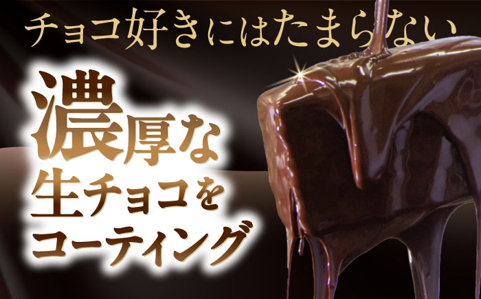 【2回定期便】＜ニッポン全国おやつランキンググランプリ受賞＞長崎石畳ショコラ ハーフサイズ 3個 / 石畳ショコラ チョコ ケーキ スイーツ / 諫早市 / ネオクラシッククローバー [AHBS023]