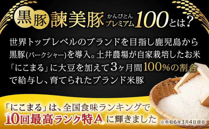 黒豚諫美豚プレミアム100 5種詰め合わせ 1.2kg / 豚肉 ぶたにく ロースステーキ しゃぶしゃぶ 切り落とし ミンチ / 諫早市 / 株式会社土井農場 [AHAD047]
