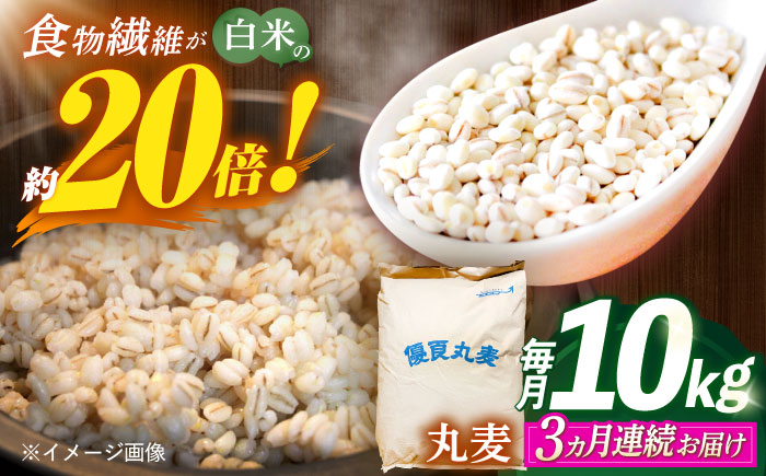 【全3回定期便】 長崎県産 丸麦 10kg / 麦 むぎ 雑穀 雑穀米 麦ごはん 麦飯 麦みそ 食物繊維 / 諫早市 / 有限会社伊東精麦 [AHBU006]