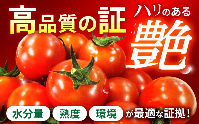 愛果菜ミニトマト9P×1セット / トマト とまと ミニトマト プチトマト 愛果菜 / 諫早市 / 愛菜ファーム株式会社 [AHAK001]