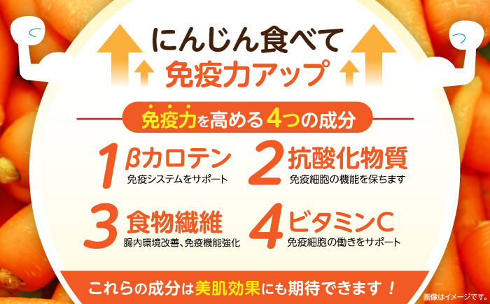 滝さんの人参 5kg / にんじん ニンジン 人参 carrot やさい 野菜 にんじんジュース 人参ジュース ニンジンジュース キャロット キャロットジュース / 諫早市 / 滝商店株式会社 [AHCU007]