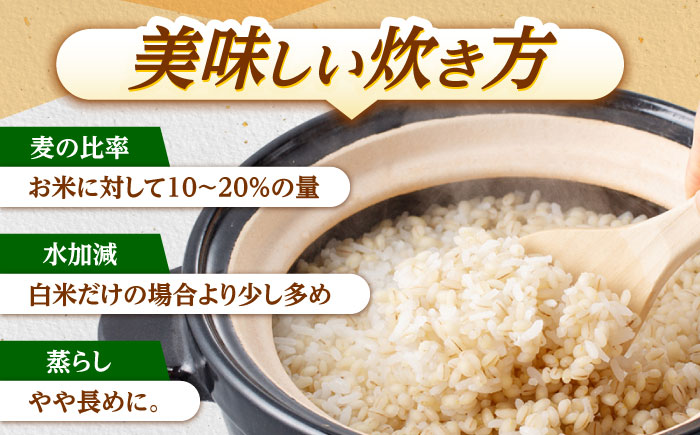 押麦「長崎御島」 1kg×20袋 計20kg / 押麦 押し麦 はだか麦 麦ごはん 雑穀 雑穀米 長崎県産 米 こめ コメ ※ / 諫早市 / 有限会社伊東精麦 [AHBU003]