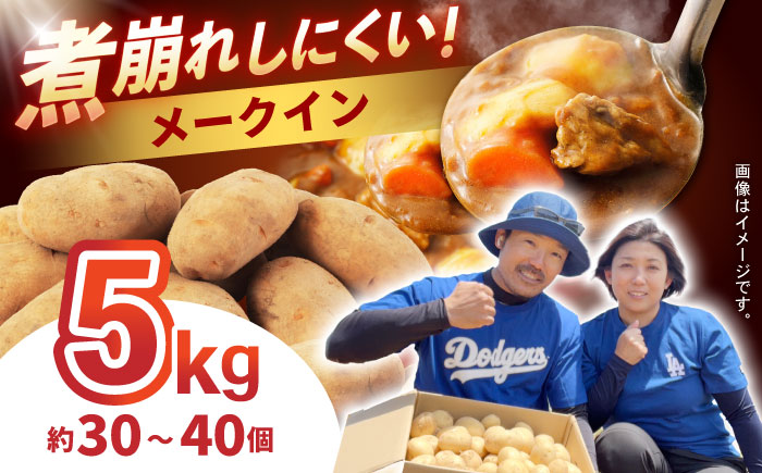 じゃがいも メークイン 5kg (S～2Lサイズ/約30～40個) / じゃがいも ジャガイモ ポテト 九州 メークイン メイクイーン 野菜 やさい / 諫早市 / スマイルファーム　 [AHFG003]