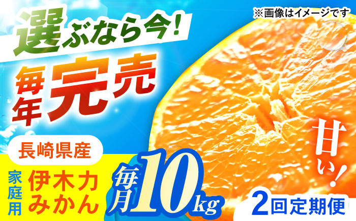 【2回定期便】※【11月より発送／先行予約】 伊木力みかん (家庭用) 10kg / みかん ミカン 蜜柑 柑橘 フルーツ ふるーつ 果物 くだもの / 諫早市 / 山野果樹園 [AHCF012]