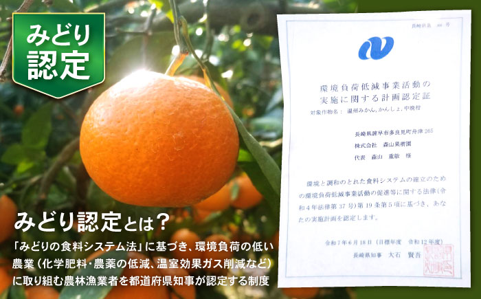 伊木力産　森山果樹園のこだわりみかん 5kg / みかん ミカン 柑橘 伊木力みかん 温州みかん / 諫早市 / 森山果樹園 [AHCO008]