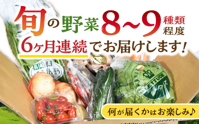 【6回定期便】諫早産野菜の詰め合わせ(8〜9品目程度) / 季節 旬 野菜 春野菜 夏野菜 秋野菜  / 諫早市 / 肥前グローカル株式会社 [AHDI002]