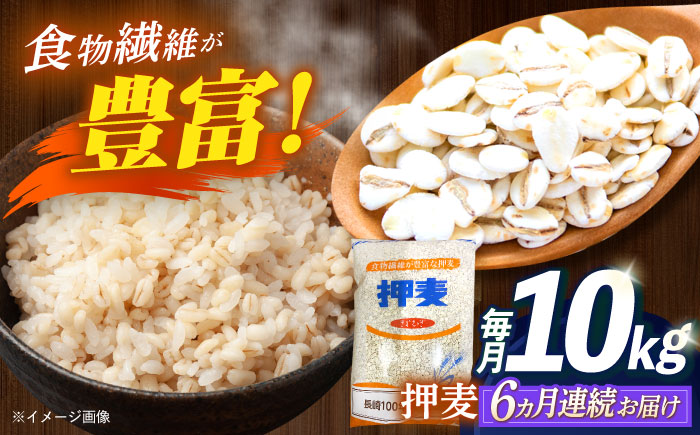 【全6回定期便】 押麦「長崎100年麦 御島裸」1kg×10袋 計10kg / 麦 むぎ 押麦 はだか麦 麦味噌 雑穀 雑穀米 食物繊維 小分け / 諫早市 / 有限会社伊東精麦 [AHBU011]