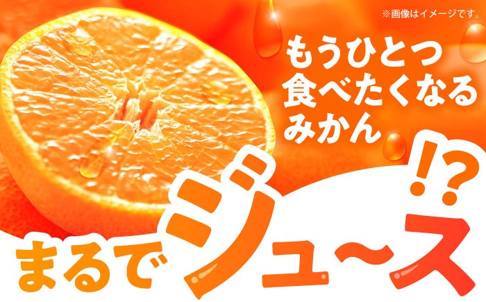 ※【2025年(令和7年)12月発送分／先行予約】伊木力温州早生みかん5kg(ご家庭用、箱入り) / 伊木力 温州みかん みかん ミカン 蜜柑 佐瀬 諫早 多良見 長崎 早生　/ 末永果樹園 [AHBD004]