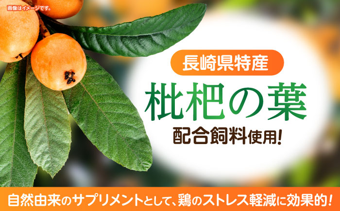 産直枇杷たまご 5kg / 卵 たまご 鶏卵 国産 玉子 枇杷 / 諫早市 / 長崎県養鶏農業協同組合 [AHCX003]