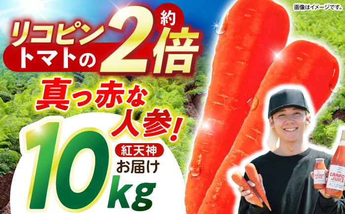 [甘みと栄養たっぷり!] 真っ赤な人参 「紅天神」 10kg?/ にんじん ニンジン 人参 やさい 野菜 / 諫早市 / 滝商店株式会社 [AHCU002]