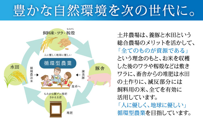 【6回定期便】諫美豚のロースステーキセット800g / 諫美豚 ロース ロースステーキ ステーキ 豚肉 / 諫早市 / 株式会社土井農場 [AHAD038]