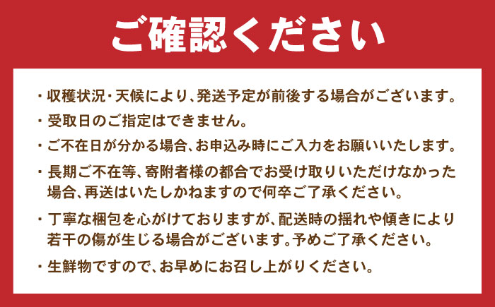 月2回お届け【12回定期便】諫早産 野菜の詰め合わせ 8～9品目程度 / 季節 旬 野菜 やさい 春野菜 夏野菜 秋野菜 野菜セット 詰め合わせ 野菜定期 野菜定期便 定期便 / 諫早市 / 肥前グローカル株式会社 [AHDI014]