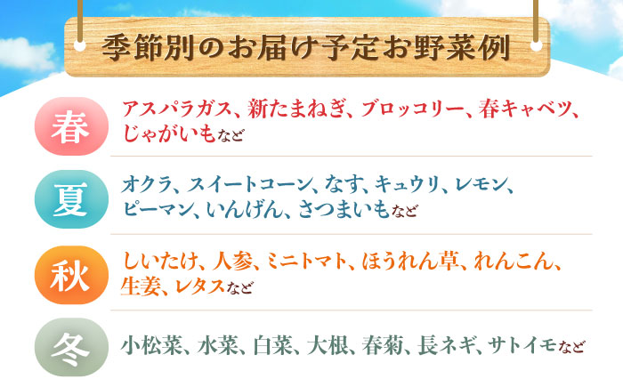 月2回お届け【24回定期便】諫早産 野菜の詰め合わせ 8～9品目程度 / 季節 旬 野菜 やさい 春野菜 夏野菜 秋野菜 野菜セット 詰め合わせ 野菜定期 野菜定期便 定期便 / 諫早市 / 肥前グローカル株式会社 [AHDI015]
