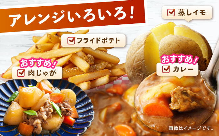 じゃがいも アイマサリ 5kg (S～2Lサイズ/約30～40個) / じゃがいも ジャガイモ ポテト 九州 あいまさり アイマサリ 野菜 やさい / 諫早市 / スマイルファーム　 [AHFG005]