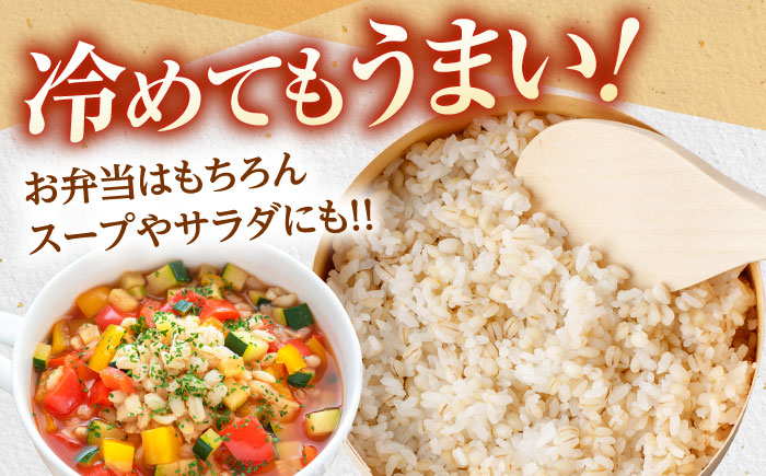 もち麦よりも『ぷりっ』とした弾力 長崎県産 丸麦 10kg / 麦 むぎ 雑穀 雑穀米 麦ごはん 10kg 麦飯 麦みそ 食物繊維 長崎県産 米 こめ コメ ※ / 諫早市 / 有限会社伊東精麦 [AHBU005]