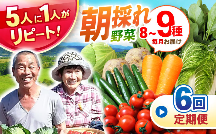 【6回定期便】諫早産野菜の詰め合わせ(8〜9品目程度) / 季節 旬 野菜 春野菜 夏野菜 秋野菜  / 諫早市 / 肥前グローカル株式会社 [AHDI002]