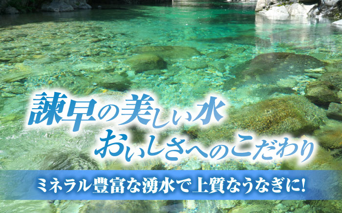 【最速発送】＜諫早淡水＞うなぎまるごとセット / うなぎ ウナギ 鰻 蒲焼き 蒲焼 白焼き 白焼  国産 冷凍 小分け うな重 うな丼 ひつまぶし / 諫早市 / 活うなぎ問屋 諫早淡水 [AHAT001] スピード 最短 最速 発送