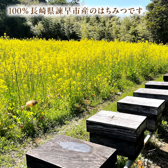 長崎県産天然はちみつ600g×2本セット / 百花蜜 百花蜂蜜 蜂蜜 はちみつ ハチミツ / 諫早市 / 坂口養蜂 [AHDB003]