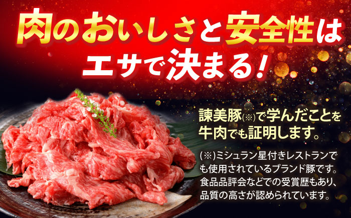 【特Aのブランド米で育てた】諫美牛 切り落とし 500g(250g×2) / 牛肉 ぎゅうにく 和牛 牛 肉 国産 切り落とし 切り落し 切りおとし / 諫早市 / 株式会社土井農場 [AHAD090]