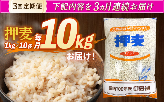 【全3回定期便】 押麦「長崎100年麦 御島裸」1kg×10袋 計10kg / 麦 むぎ 押麦 はだか麦 麦味噌 雑穀 雑穀米 食物繊維 小分け / 諫早市 / 有限会社伊東精麦 [AHBU010]